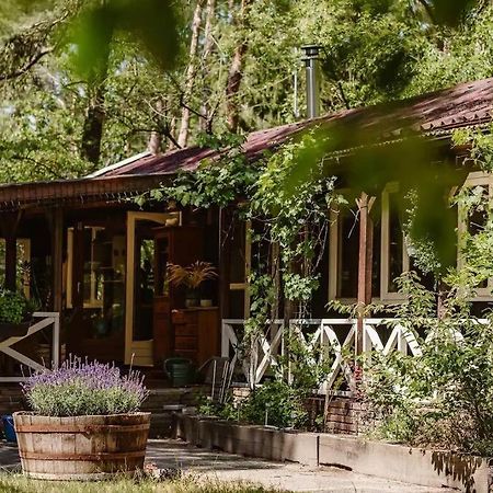 Forest Cottage With Lovely Garden & Sauna Doornspijk ภายนอก รูปภาพ