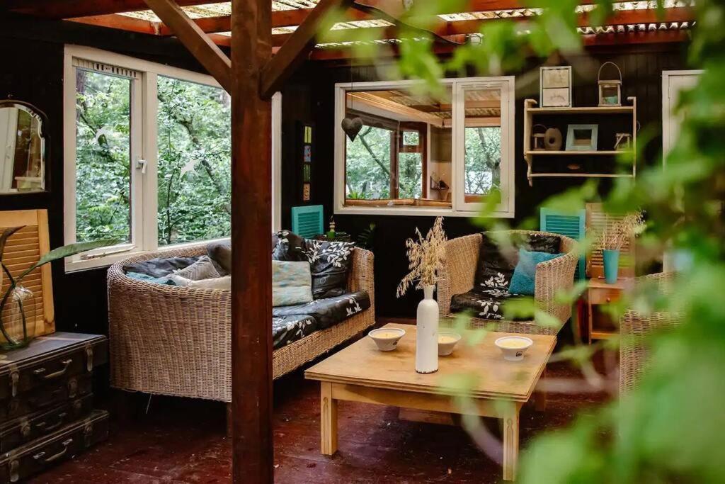 Forest Cottage With Lovely Garden & Sauna Doornspijk ภายนอก รูปภาพ
