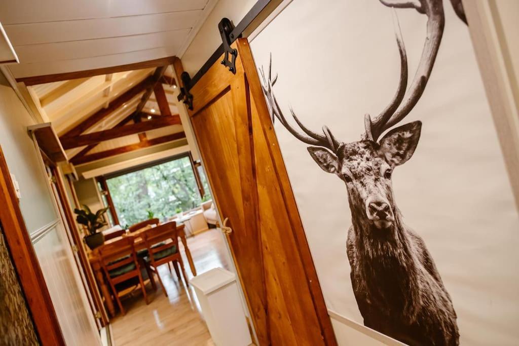 Forest Cottage With Lovely Garden & Sauna Doornspijk ภายนอก รูปภาพ