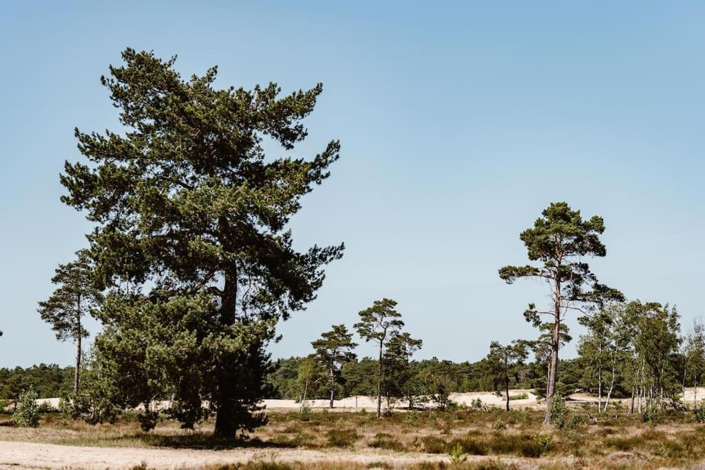 Forest Cottage With Lovely Garden & Sauna Doornspijk ภายนอก รูปภาพ