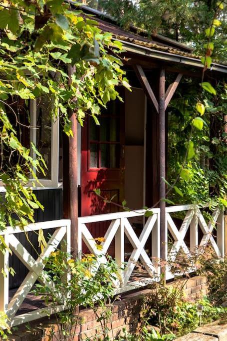 Forest Cottage With Lovely Garden & Sauna Doornspijk ภายนอก รูปภาพ